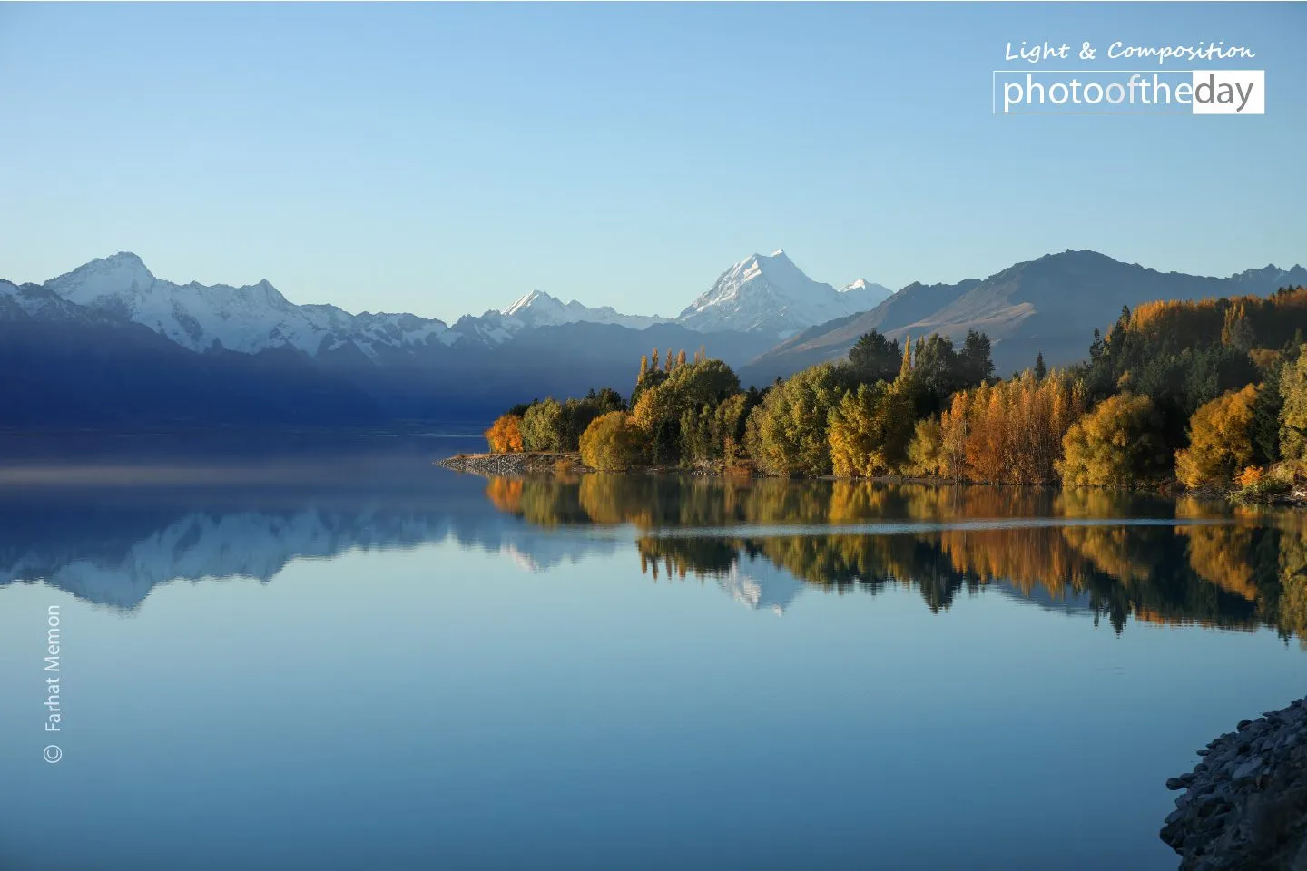 The Golden Magic of Autumn by Farhat Memon