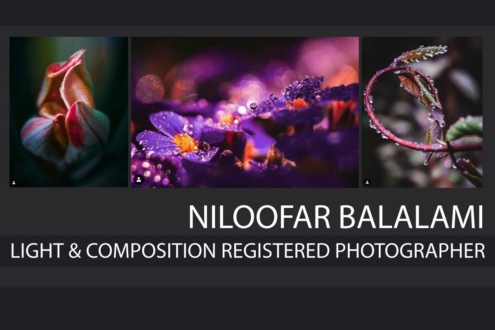 Niloofar Balalami - Photojournalist, Art Photography, Photography Awards, Photo of the Day, Photographer