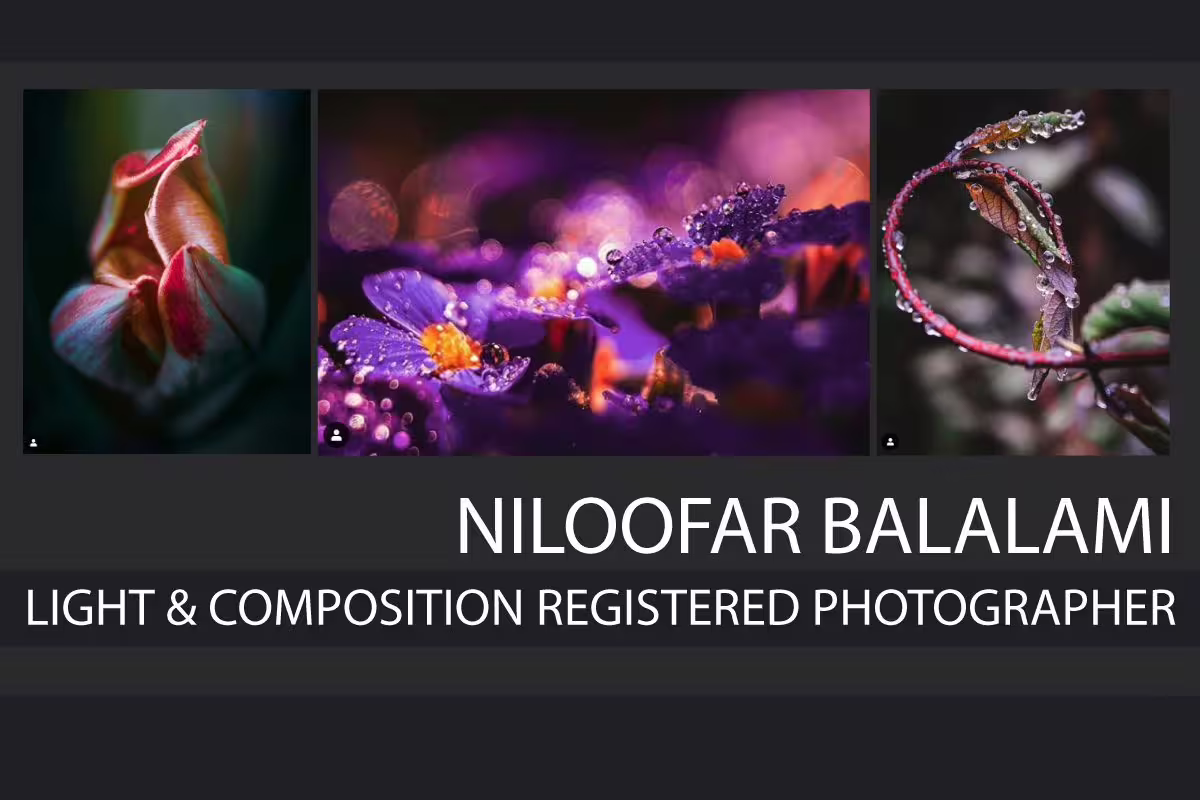 Niloofar Balalami