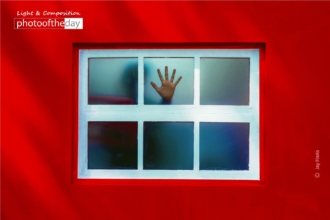 The Stopping Hand by Jay Haria