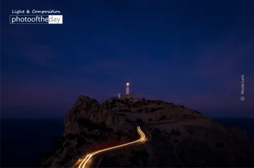 Lighthouse Lights by Nicole Laris