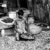 Looking for Livelihood by Sammam Junaid - Photojournalism, Child Labor Photography, Award Winning Photography, Documentary Photography, Photography Awards