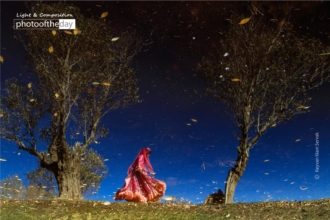 Wind Dance by Keyvan Kiani Servak