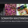 Somayeh Mastanishirazi - Photojournalism, Art Photography, Photography, Photo of the Day, Iranian Photographer