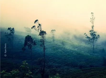 Mystic Hills by Ryan Perris