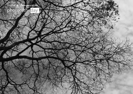 Autumn Sky by Conrado Krainer
