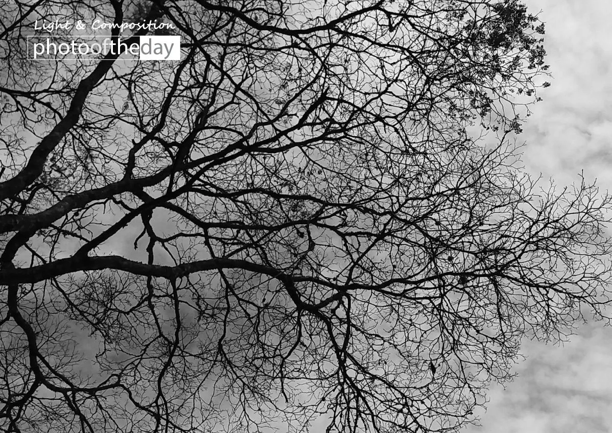 Autumn Sky by Conrado Krainer - Photo of the Day, Photography Awards, Art Photography, Black and White Photography, Autumn Photography
