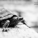 Childhood by Kirsten Bruening