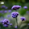 The Smile of Nature by Kirsten Bruening - Nature Photography, Award Winning Photography, Photo of the Day, Close-up Photography, Photography Education