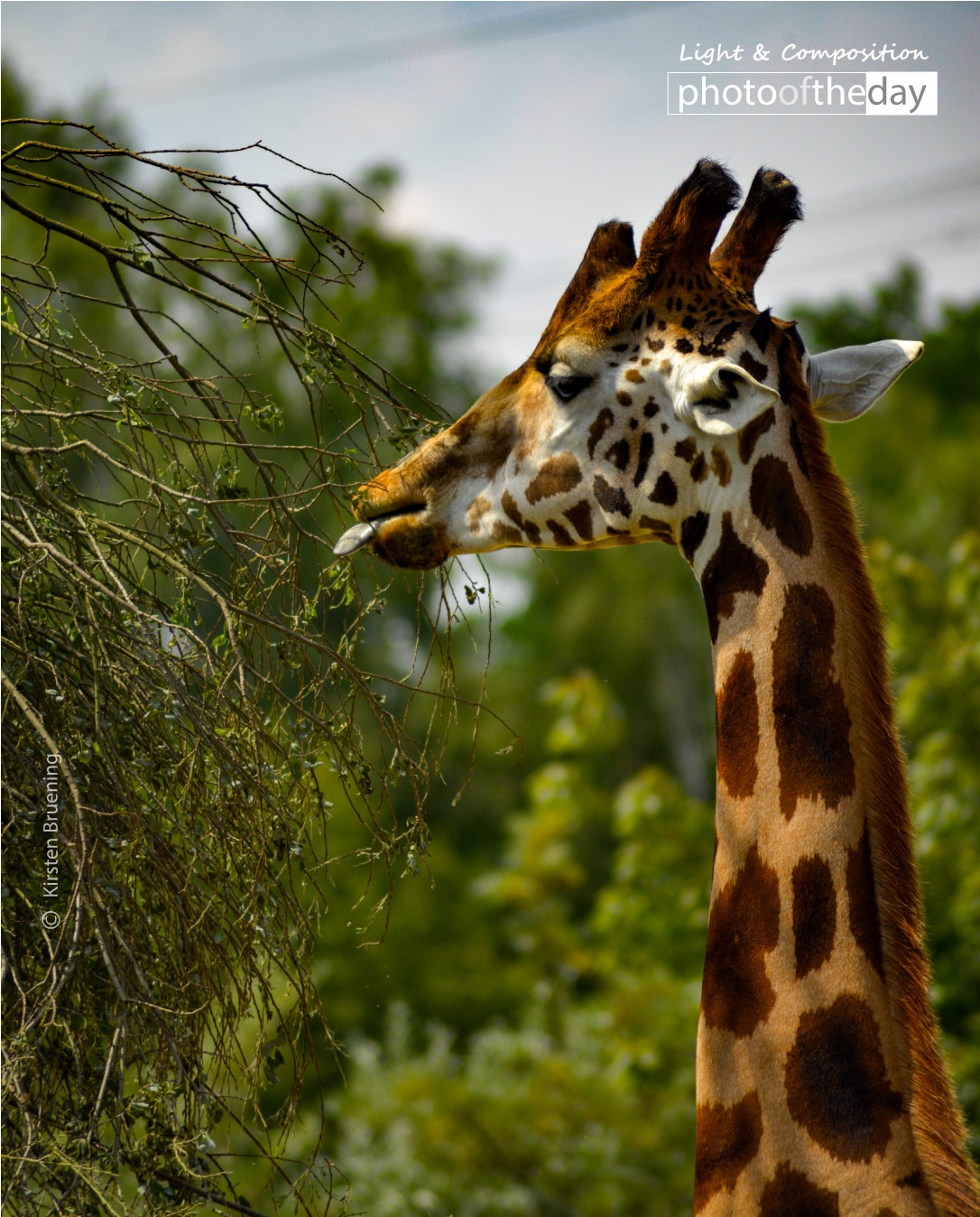 Madagascar by Kirsten Bruening Photo of the day 15112019 1n