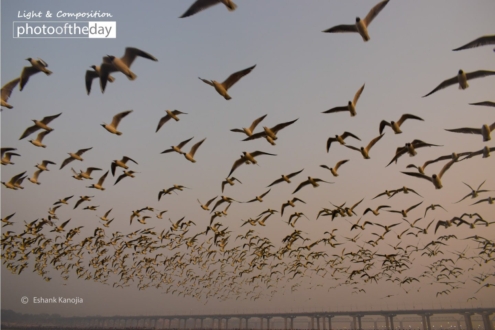 Kumbh Mela by Eshank Kanojia - Photojournalism, Kumbh Mela, Photography Awards, Photo of the Day, Art Photography