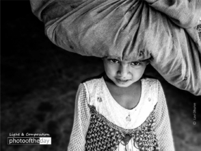 The Girl with a Bundle by Lavi Dhurve