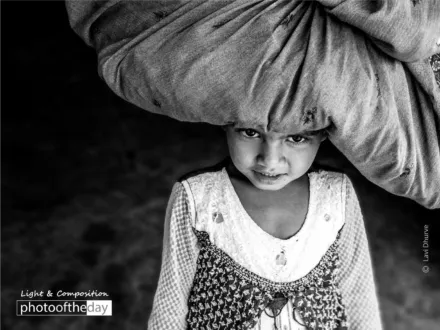 The Girl with a Bundle by Lavi Dhurve - Award-Winning Photography, Art Photography, Portrait Photography, Photo of the Day, Light & Composition University