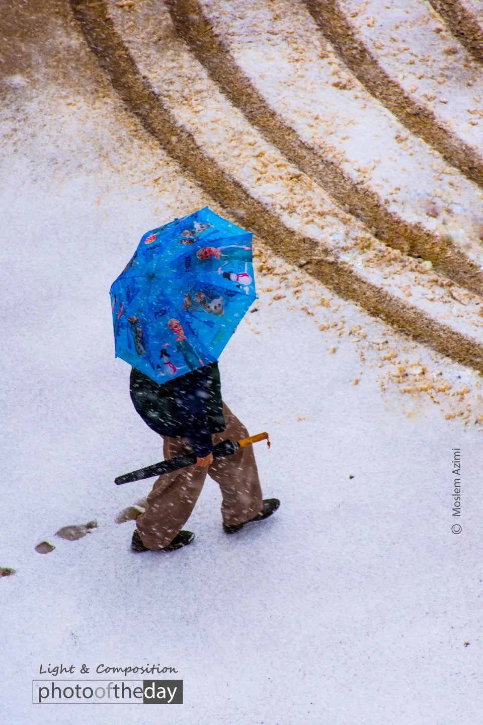 Snow and Colors by Moslem Azimi Snow and Colors by Moslem Azimi