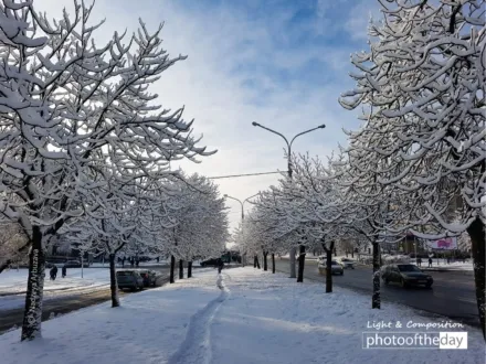 A Winter Way by Nadzeya Arbuzava - Nature Photography, Photo of the Day, Winter Photography, Photography Awards, Online Photography Courses