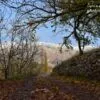 Fall Sense by Moslem Azimi