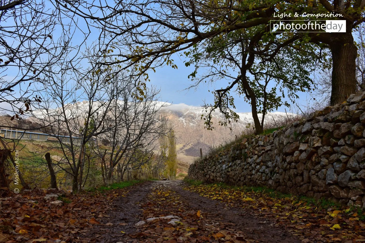 Fall Sense by Moslem Azimi - Nature Photography, Photography Awards, Photo of the Day, Art Photography, Online Photography Courses