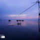 Dawn at Lake Songkhla by Siew Bee Lim