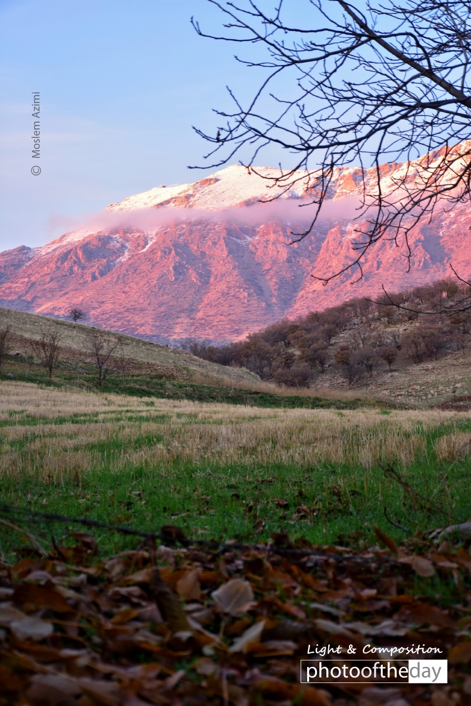 Seasons Union by Moslem Azimi Photo of the day 26032019 2n
