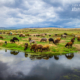 Mahabad Countryside by Bahar Rismani