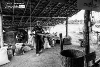 Paddy Husking by Siew Bee Lim