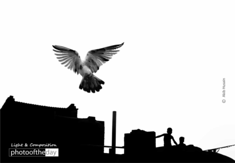 Connection by Akib Husain - Photojournalism, Artistic Photography, Award-Winning Photography, Akib Husain, Photography Awards