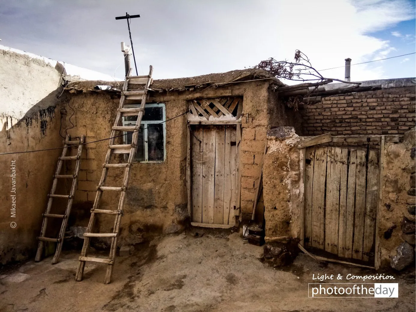 Photo of the Month — March 2020