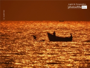 The Walking Man by Swathi Nair