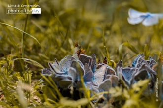 Flight by Martin Stoimenov