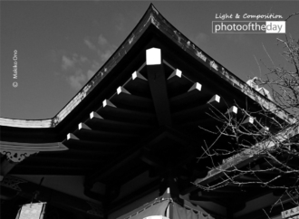 Hatsumode by Makiko Ono