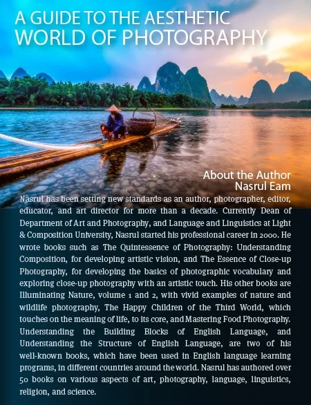 A Guide to the Aesthetic World of Photography - Photography Aesthetics, Composition, Visual Elements, Photography Education, Online Photography Courses