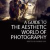 A Guide to the Aesthetic World of Photography - Photography Aesthetics, Composition, Visual Elements, Photography Education, Online Photography Courses