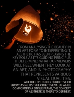 A Guide to the Aesthetic World of Photography - Photography Aesthetics, Composition, Visual Elements, Photography Education, Online Photography Courses