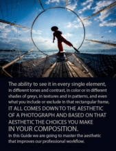 A Guide to the Aesthetic World of Photography - Photography Aesthetics, Composition, Visual Elements, Photography Education, Online Photography Courses