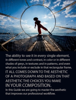 A Guide to the Aesthetic World of Photography - Photography Aesthetics, Composition, Visual Elements, Photography Education, Online Photography Courses