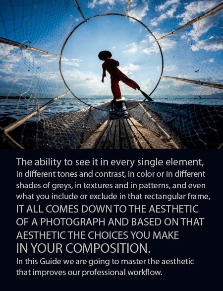 A Guide to the Aesthetic World of Photography - Photography Aesthetics, Composition, Visual Elements, Photography Education, Online Photography Courses