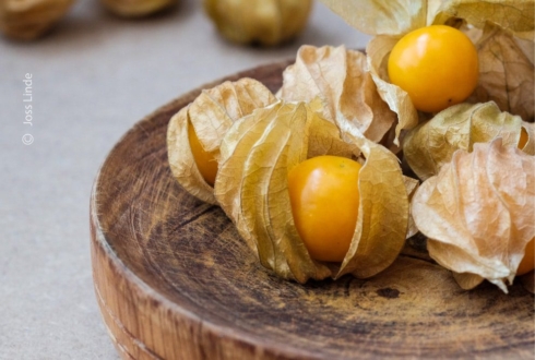 Autumn Days by Joss Linde - Photojournalism, Photography Awards, Art Photography, Food Photography, Online Photography Courses