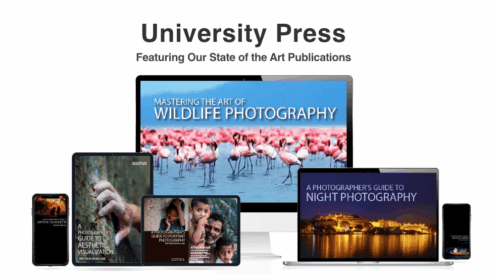 Light & Composition Publications - Photography Publications, Online Photography Courses, Photography Education, Photojournalism, Art Photography