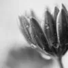 Tears in Heaven by Kirsten Bruening