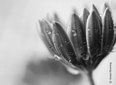 Tears in Heaven by Kirsten Bruening