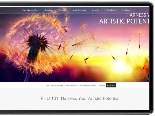 Diploma in Nature Photography - Nature Photography, Online Photography Courses, Photography Diploma, Wildlife Photography, Landscape Photography