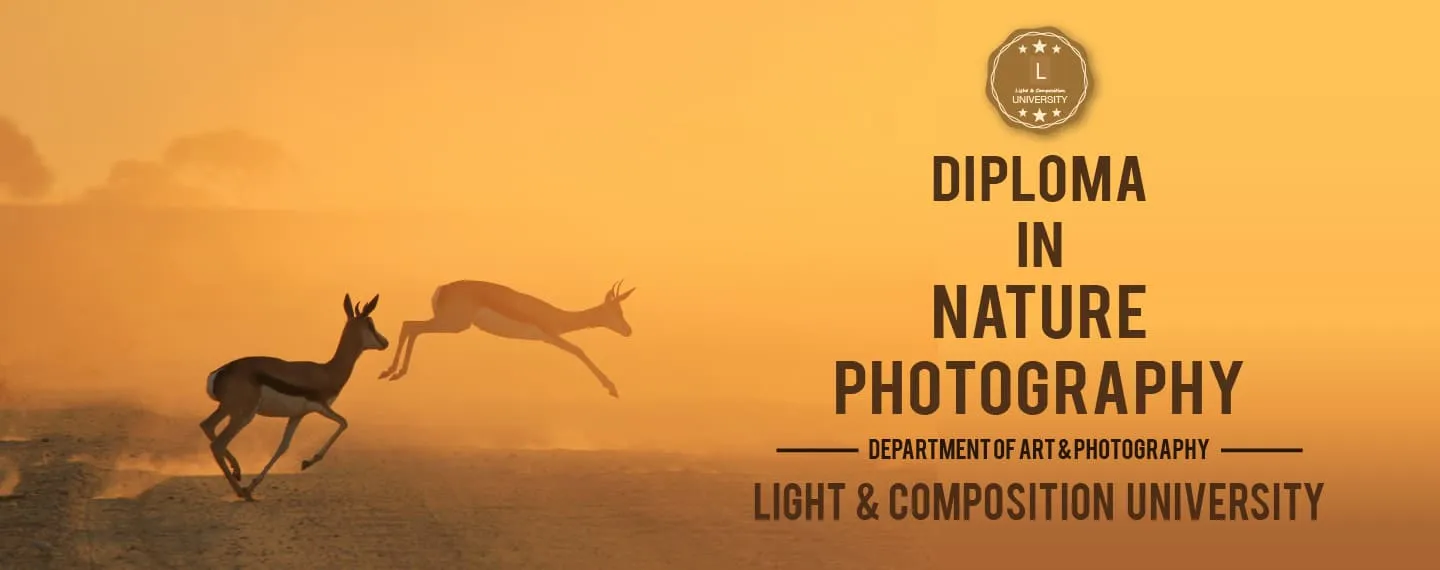 Diploma in Nature Photography - Nature Photography, Online Photography Courses, Photography Diploma, Wildlife Photography, Landscape Photography