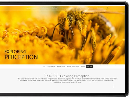 Exploring Perception