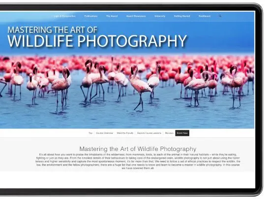 Diploma in Nature Photography - Nature Photography, Online Photography Courses, Photography Diploma, Wildlife Photography, Landscape Photography