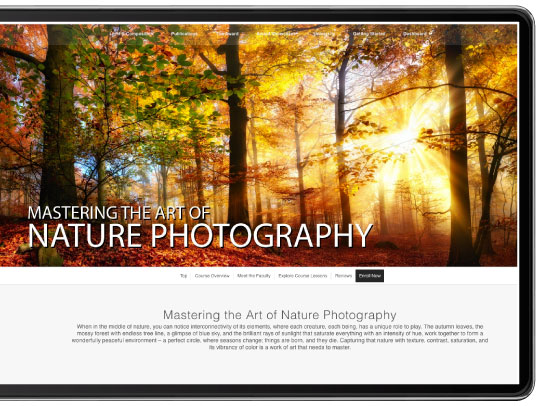 Mastering the Art of Nature Photography