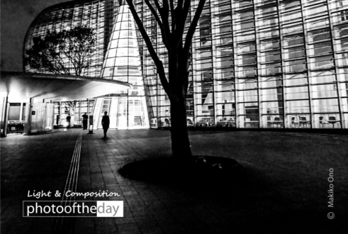 Open the Door by Makiko Ono - Art Photography, Photo of the Day, Photography Awards, Online Photography Courses, Makiko Ono