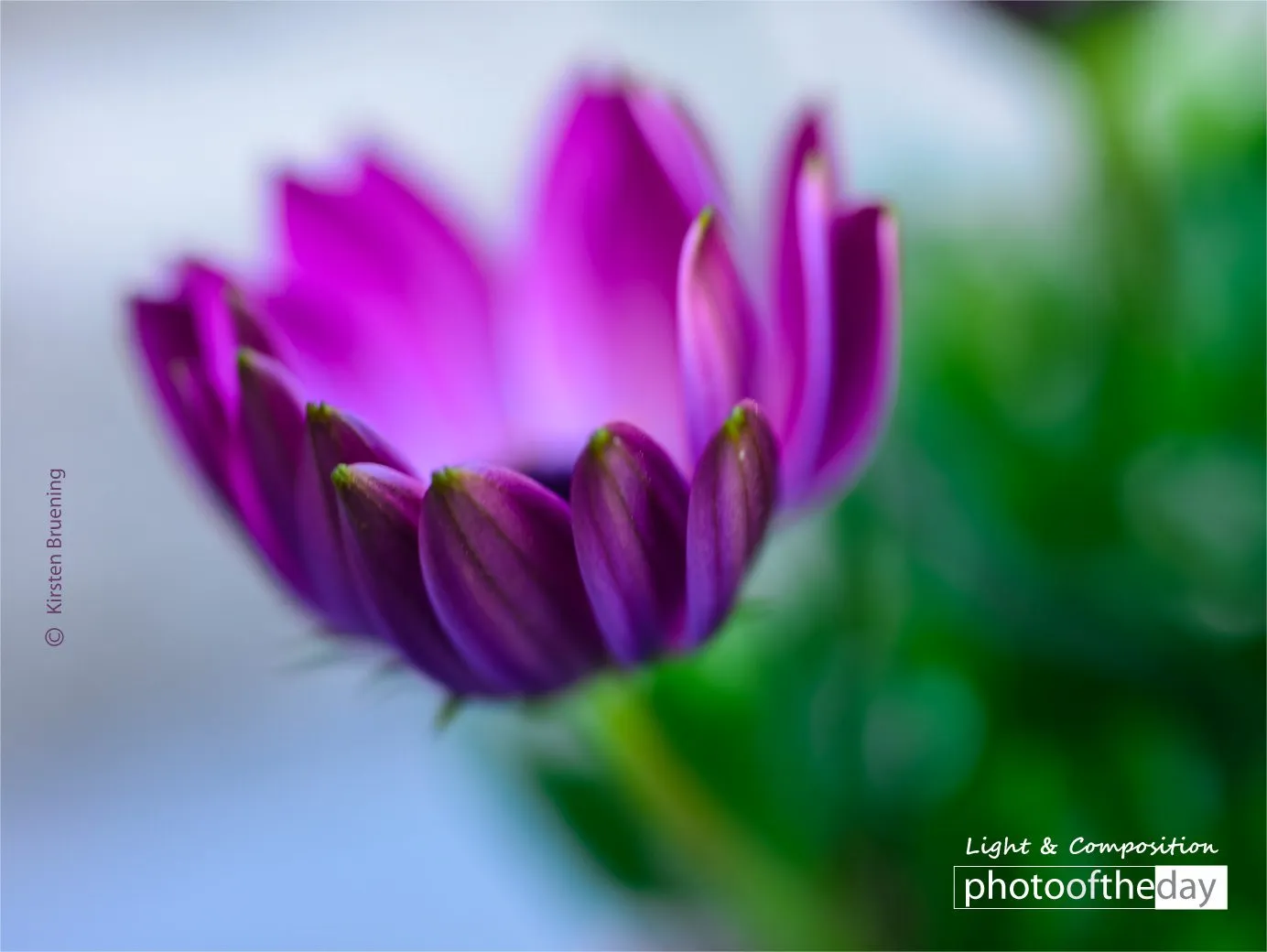 Photo of the Month — August 2023