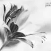 A Form of Life by Moslem Azimi - Minimalist Photography, Award Winning Photography, Photo of the Day, Moslem Azimi, Art Photography