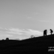 A Form of Life by Moslem Azimi