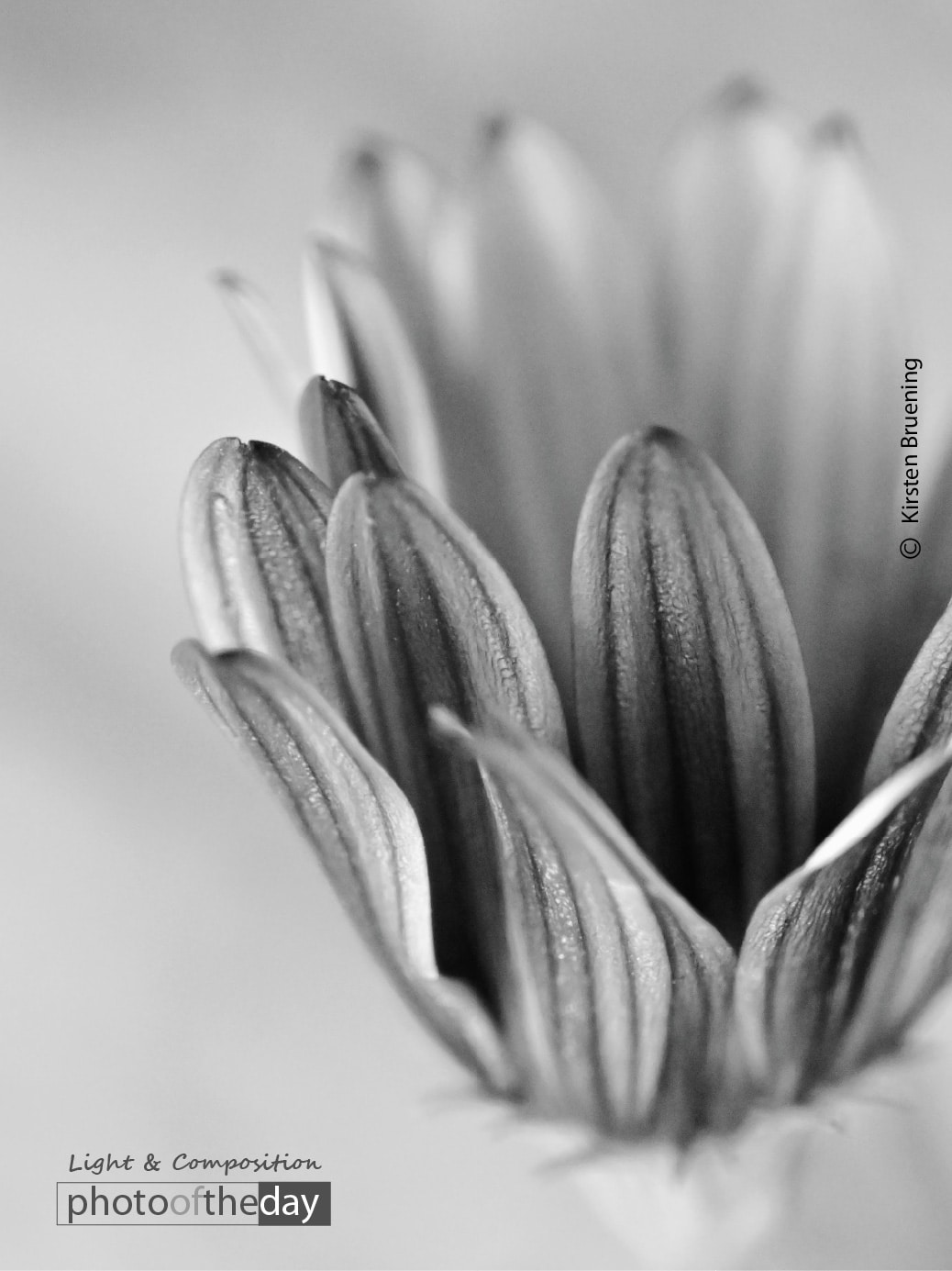 The Magic of Black and White by Kirsten Bruening Photo of the day 14112020 1n